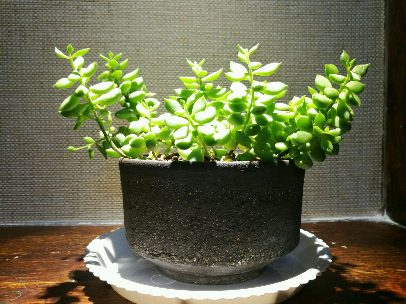 心香素養(yǎng)生餐茶